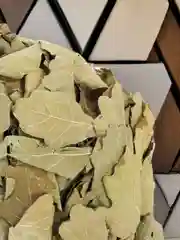 Дубовый веник банный