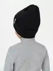 Угольный шапка демисезонная для девочки для мальчика, Arctic kids