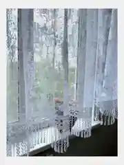 Тюль на кухню короткая 300x150