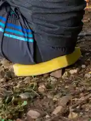 Cидушка туристическая BIG, 3 слоя, 45 мм