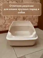 Бежевый лоток  туалет большой с бортами для всех видов кошек и животных