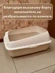 Бежевый лоток  туалет большой с бортами для всех видов кошек и животных