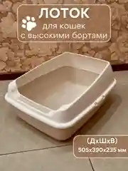 Бежевый лоток  туалет большой с бортами для всех видов кошек и животных