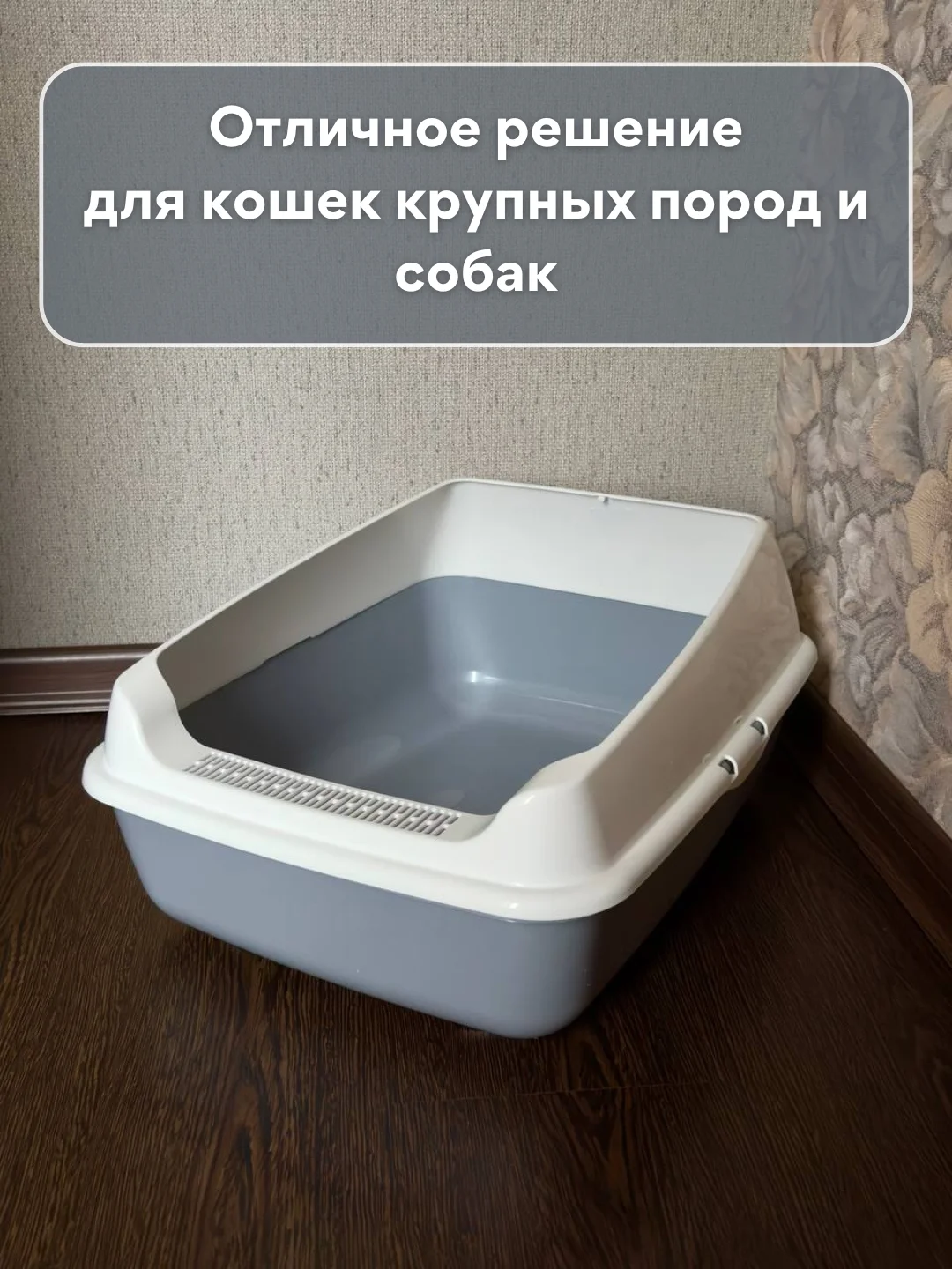 Бежевый лоток  туалет большой с бортами для всех видов кошек и животных