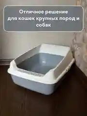 Бежевый лоток  туалет большой с бортами для всех видов кошек и животных