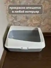Бежевый лоток  туалет большой с бортами для всех видов кошек и животных