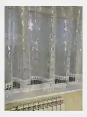 Тюль на кухню короткая 300x150