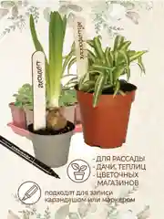 Таблички для рассады 50 шт