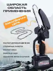 Пила цепная аккумуляторная