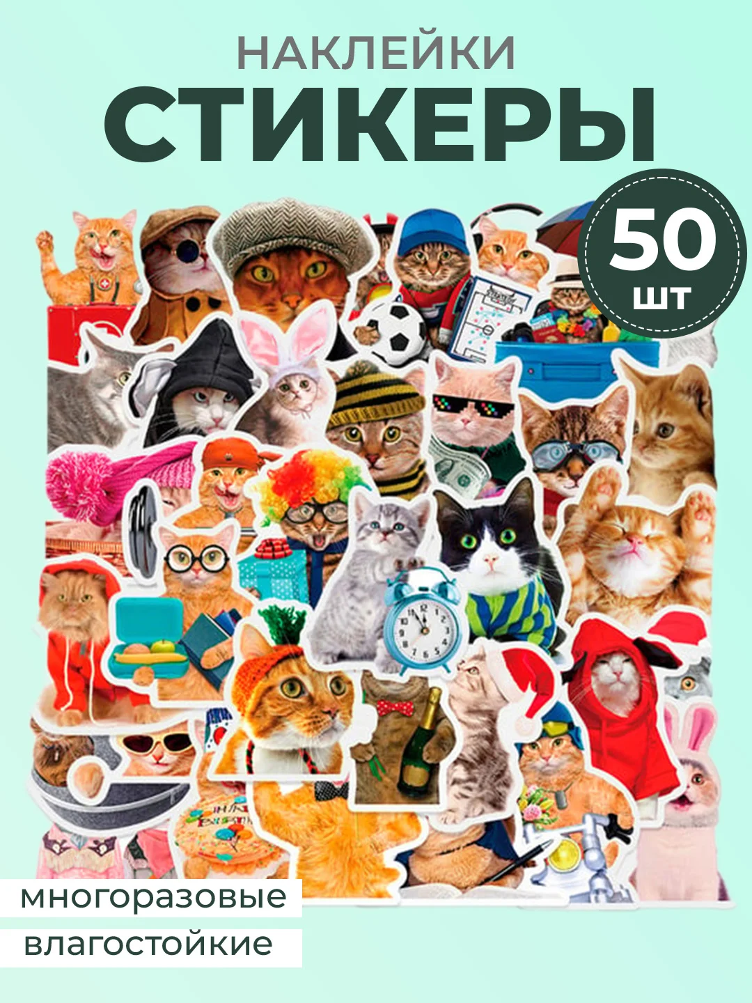 Марсала наклейки-стикеры котики мемы, 50 штук. Стикерпак с котиками и собачками, скрапбукинг. Таро
