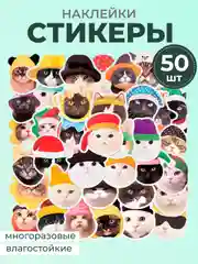Мятный наклейки-стикеры котики мемы, 50 штук. Стикерпак с котиками и собачками, скрапбукинг. Таро