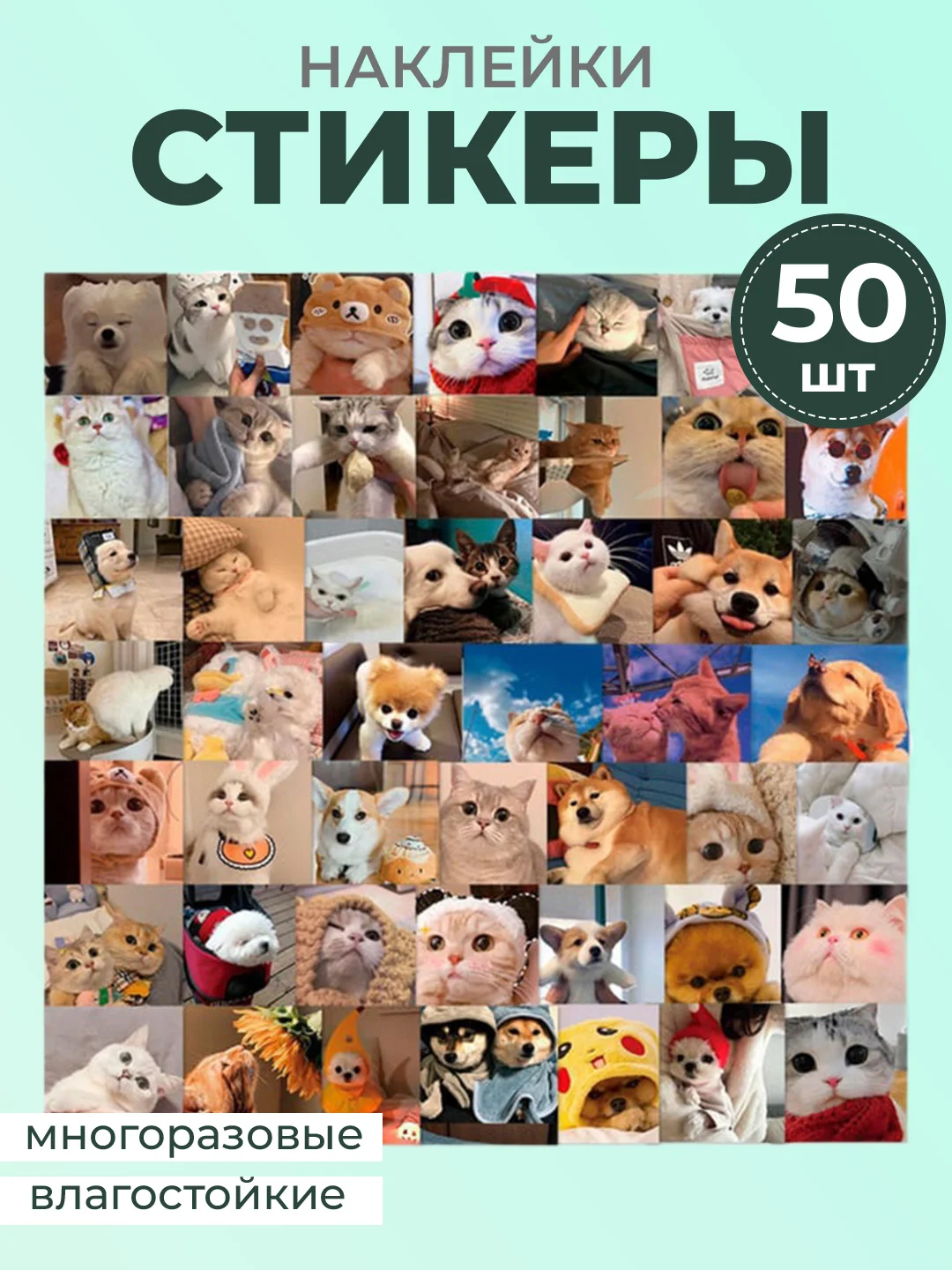 Голубой наклейки-стикеры котики мемы, 50 штук. Стикерпак с котиками и собачками, скрапбукинг. Таро