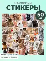 Молочный наклейки-стикеры котики мемы, 50 штук. Стикерпак с котиками и собачками, скрапбукинг. Таро
