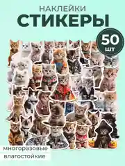 Прозрачный наклейки-стикеры котики мемы, 50 штук. Стикерпак с котиками и собачками, скрапбукинг. Таро