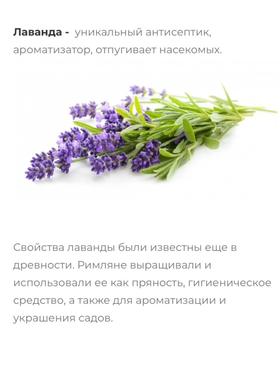 Лавандовый ароматическое саше в гардероб, в автомобиль, под подушку, на подарок