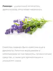Лавандовый ароматическое саше в гардероб, в автомобиль, под подушку, на подарок