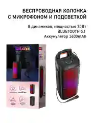 Портативная большая колонка TRANYOO T-B13 с микрофоном, подсветкой и глубоким басом