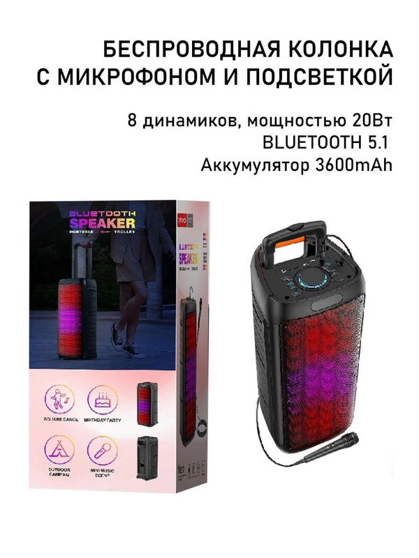 Портативная большая колонка TRANYOO T-B13 с микрофоном, подсветкой и глубоким басом