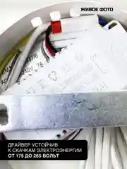 NVL0001