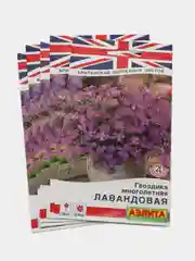 Гвоздика лавандовая, многолетняя, набор 5 штук