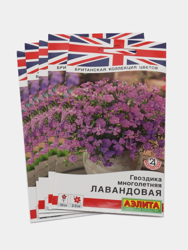 Гвоздика лавандовая, многолетняя, набор 5 штук
