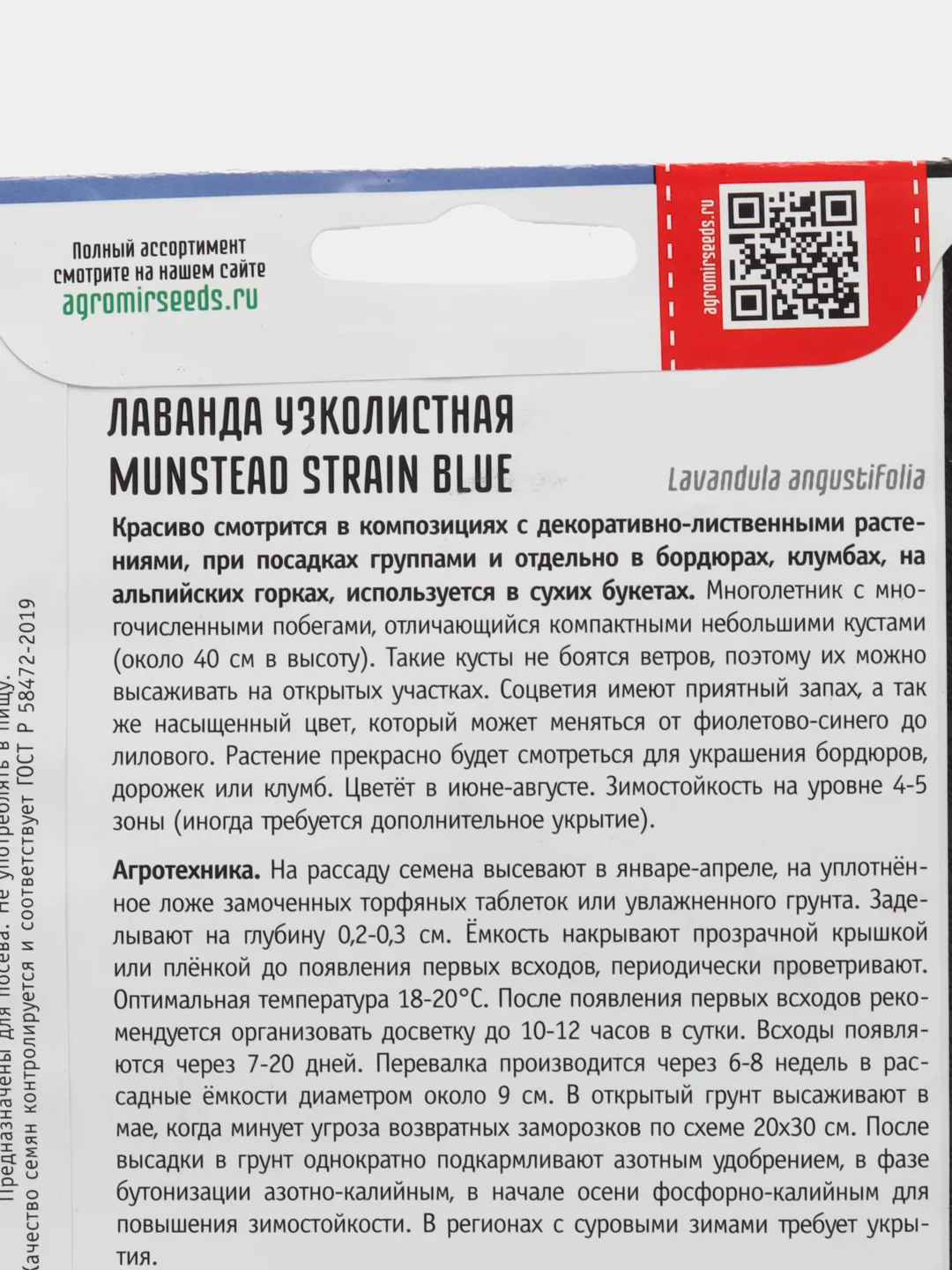 Сиреневый лаванда узколистая Munstead strain blue