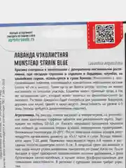 Сиреневый лаванда узколистая Munstead strain blue