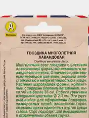 Гвоздика лавандовая, многолетняя, набор 5 штук