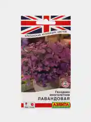 Гвоздика лавандовая, многолетняя, набор 5 штук