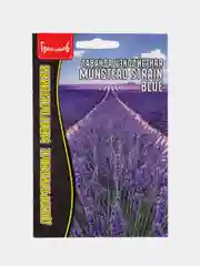 Сиреневый лаванда узколистая Munstead strain blue