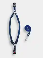Шлейка + поводок комплект, безразмерная, из капрона, для собак и кошек