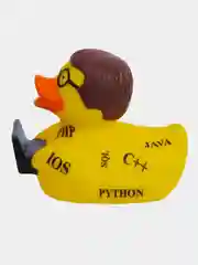 Игрушка для ванны сувенир Funny Ducks "Программист уточка", 1333