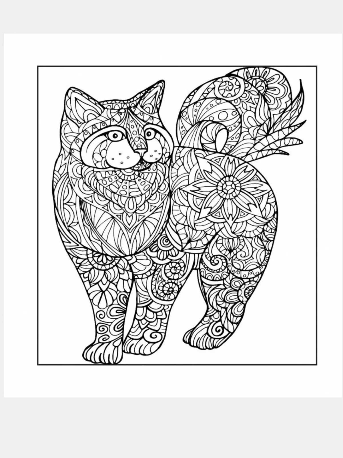 Котятки - мягкие лапки. Рисунки для медитаций. Раскраска - антистресс