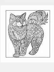 Котятки - мягкие лапки. Рисунки для медитаций. Раскраска - антистресс