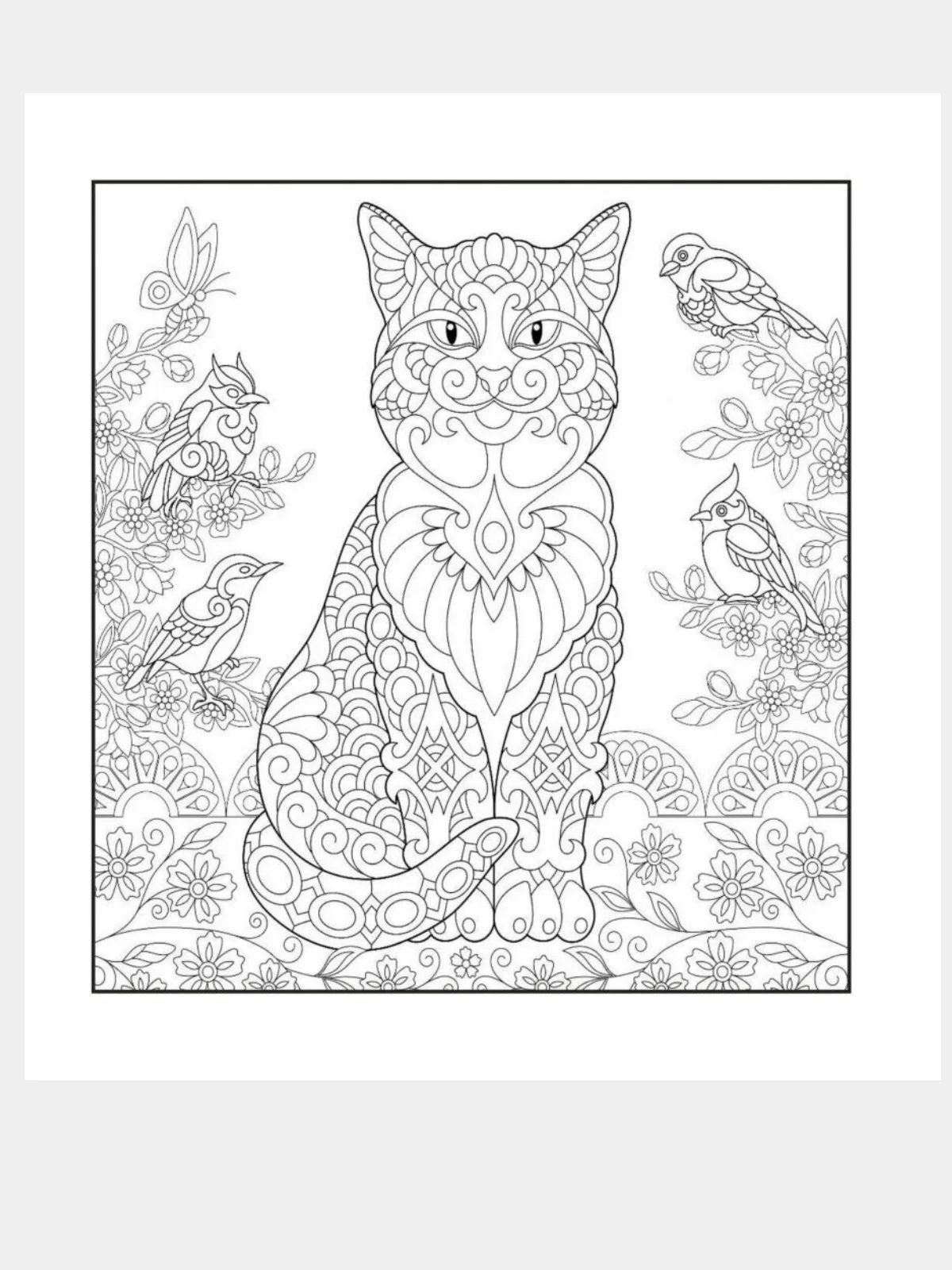 Котятки - мягкие лапки. Рисунки для медитаций. Раскраска - антистресс