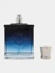 Прозрачный парфюмерная вода intense 100 мл Marina De Bourbon Monsieur Le Prince М