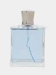 Прозрачный парфюмерная вода elegant 100 мл Marina De Bourbon Monsieur Le Prince М