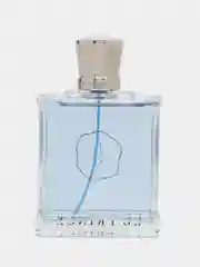 Прозрачный парфюмерная вода elegant 100 мл Marina De Bourbon Monsieur Le Prince М