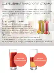 Соковыжималка шнековая VLK Profi-3100