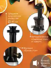 Соковыжималка шнековая VLK Profi-3100