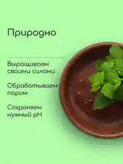 Гидролат Мелисса, тоник для жирной кожи, craftzabota 100 мл