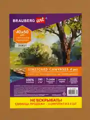 Холст на подрамнике 40х50 см грунтованный набор 4 шт, 280 г м2, 100% хлопок, Brauberg Art