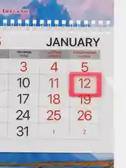 Календарь настенный квартальный отрывной 2025 Brauberg Extra Люпины, 116145