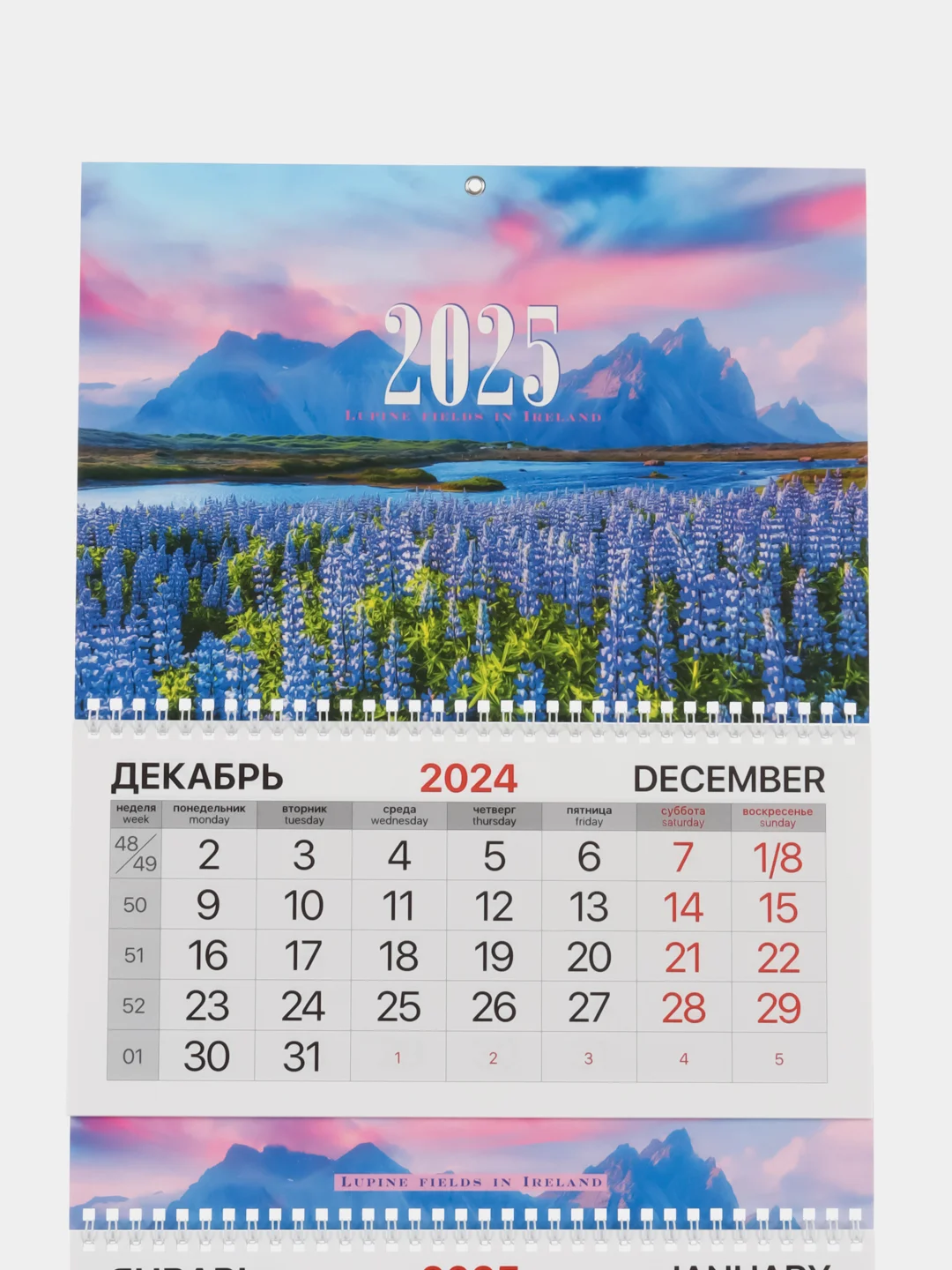 Календарь настенный квартальный отрывной 2025 Brauberg Extra Люпины, 116145