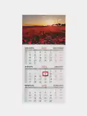Календарь настенный квартальный отрывной 2025 Brauberg Маки, 116129