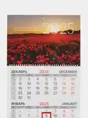 Календарь настенный квартальный отрывной 2025 Brauberg Маки, 116129