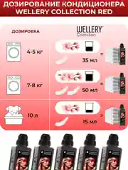 Кондиционер для белья парфюмированный Wellery Collection Red, табак ваниль, 900 мл