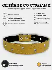 Бежевый ошейник со стразами для собак из натуральной кожи и замши