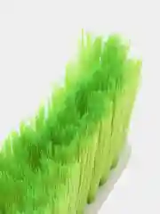 Салатовый щетка для уборки