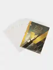 Календарь ежедневник настольный перекидной 2025 Brauberg Gold, 116073, без подставки 320л